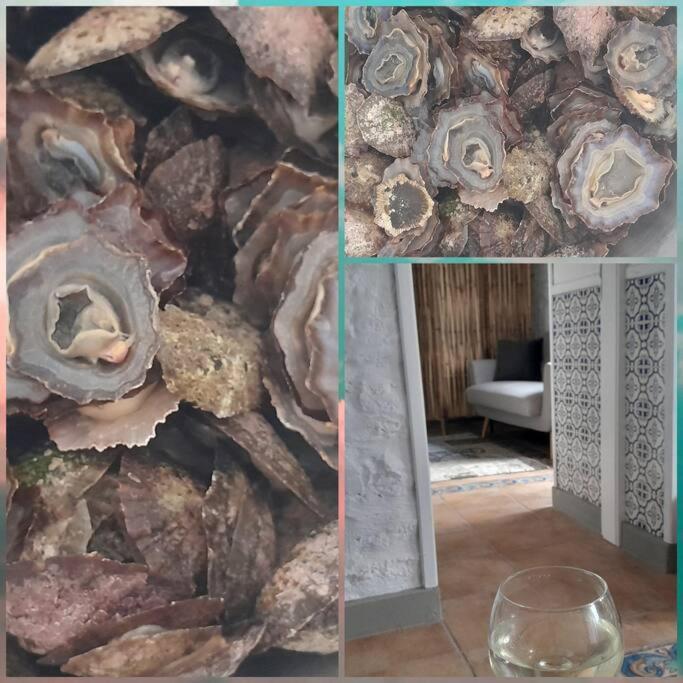 Zonaazul - Ocean View House Βίλα Paul do Mar  Εξωτερικό φωτογραφία